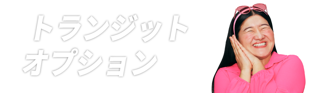 トランジットオプション
